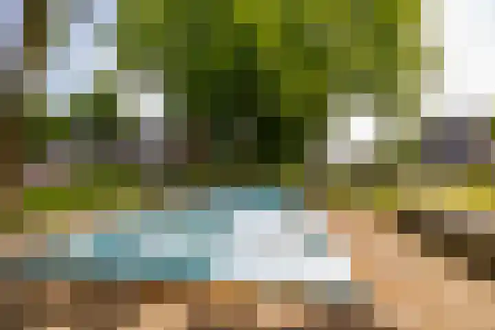 De Reiger 201 Hoogeveen thumbnail 47