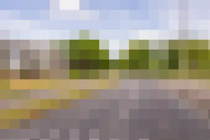 De Reiger 201 Hoogeveen thumbnail 48