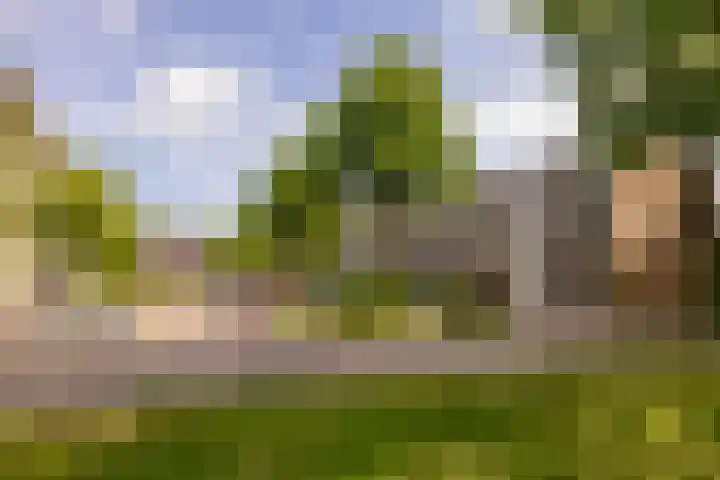 De Reiger 201 Hoogeveen thumbnail 50