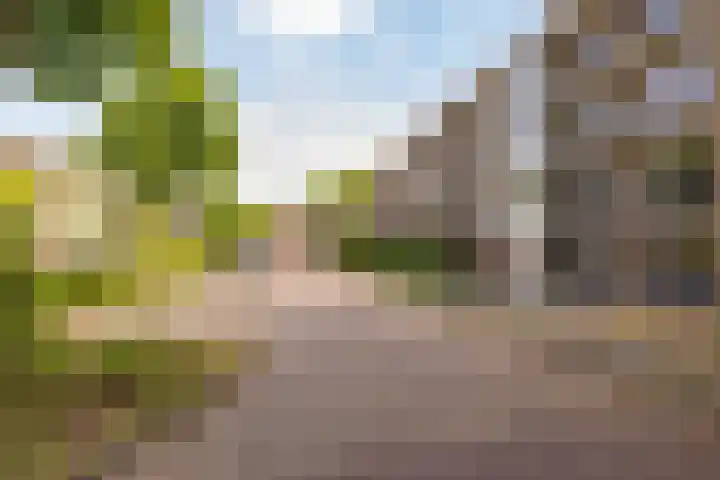 De Reiger 201 Hoogeveen thumbnail 51