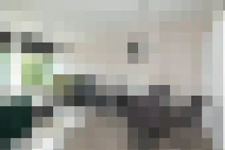 De Reiger 201 Hoogeveen thumbnail 7