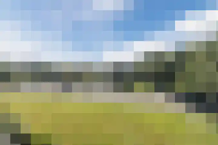 De Reiger 203 Hoogeveen thumbnail 32