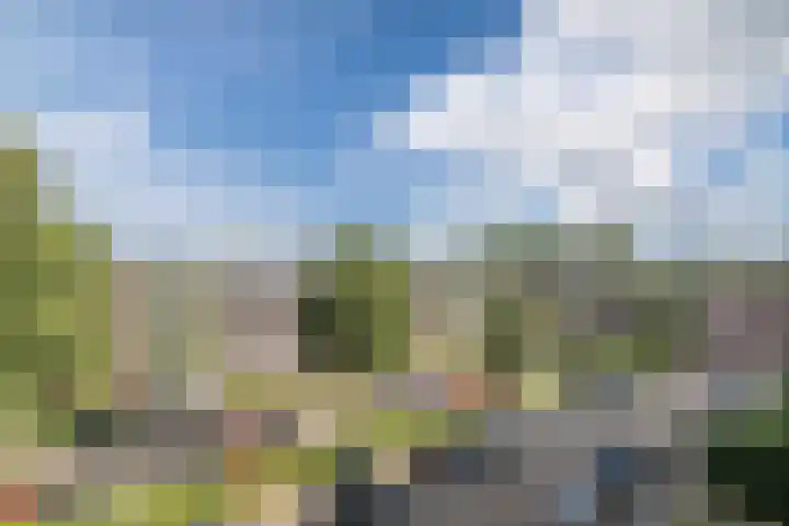 De Reiger 203 Hoogeveen thumbnail 33