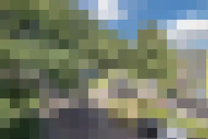 De Reiger 203 Hoogeveen thumbnail 34