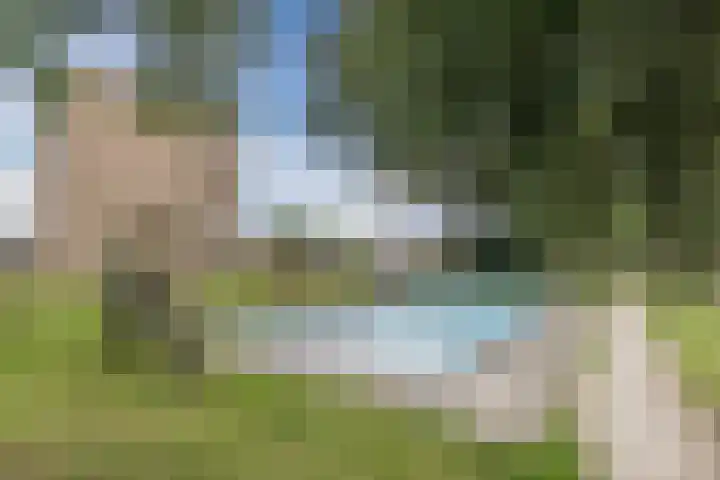 De Reiger 203 Hoogeveen thumbnail 36