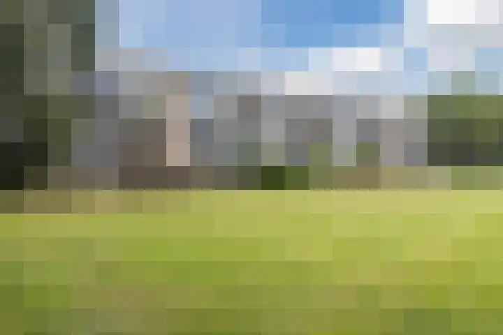De Reiger 203 Hoogeveen thumbnail 37