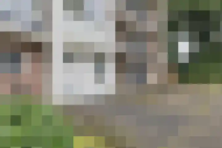 De Reiger 203 Hoogeveen thumbnail 5