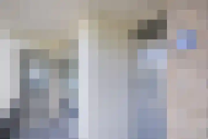 De Reiger 203 Hoogeveen thumbnail 9