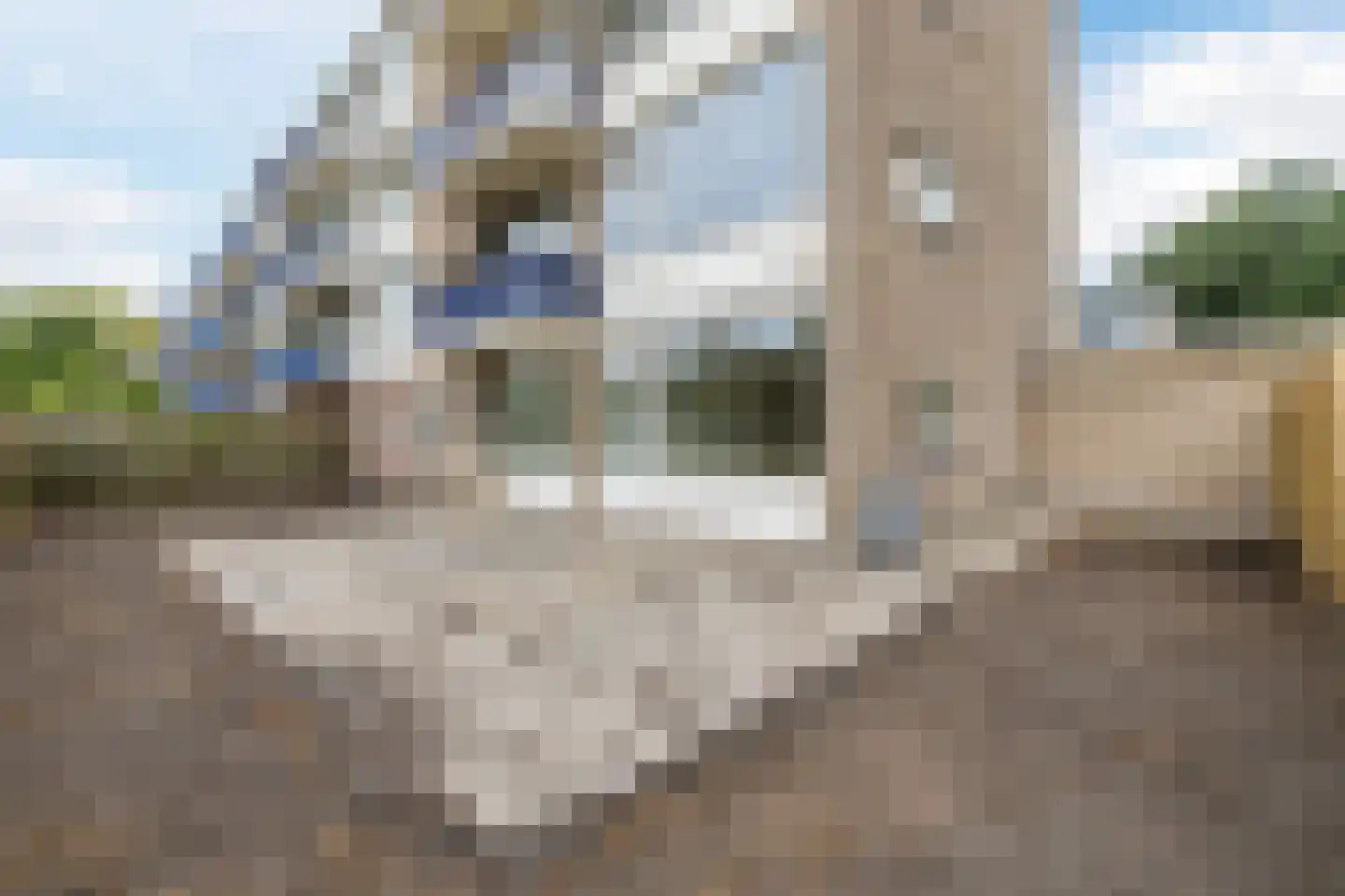 De Reiger 207 Hoogeveen thumbnail 22
