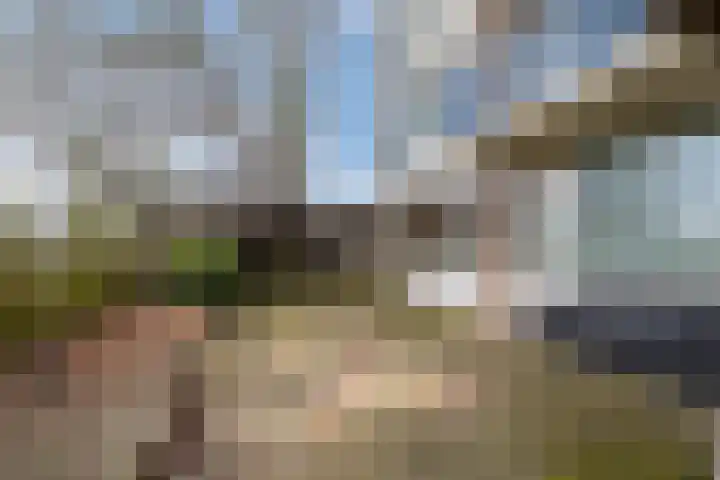 De Reiger 213 Hoogeveen thumbnail 17