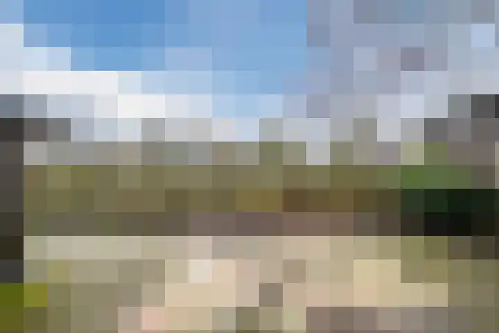 De Reiger 213 Hoogeveen thumbnail 23