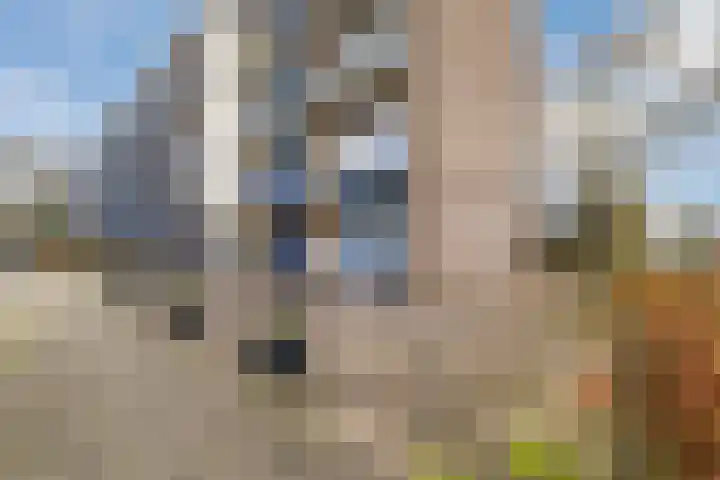 De Reiger 213 Hoogeveen thumbnail 24