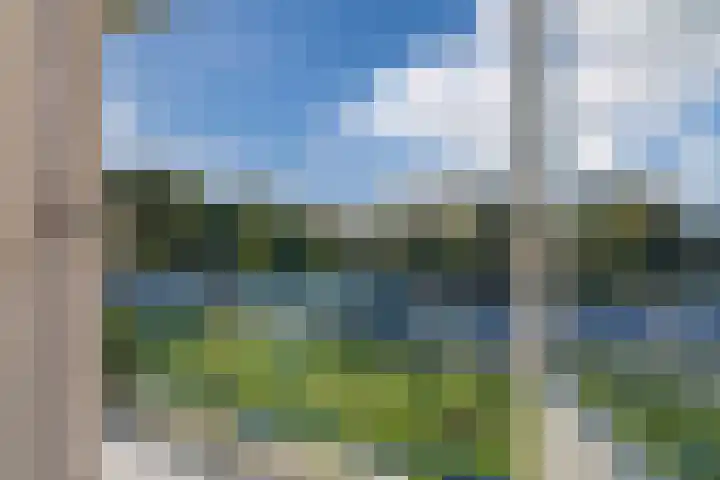 De Reiger 239 Hoogeveen thumbnail 15