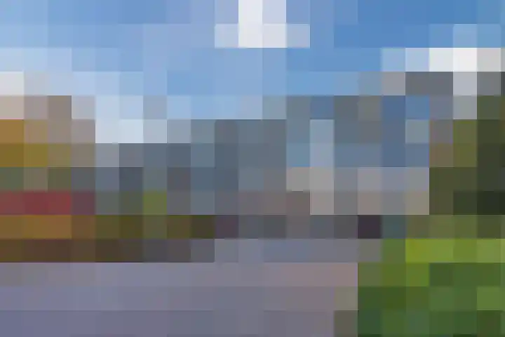 De Reiger 239 Hoogeveen thumbnail 26