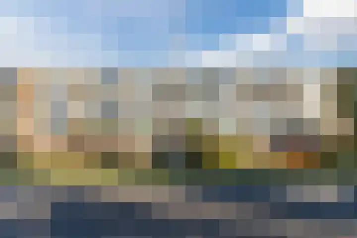 De Reiger 239 Hoogeveen thumbnail 29