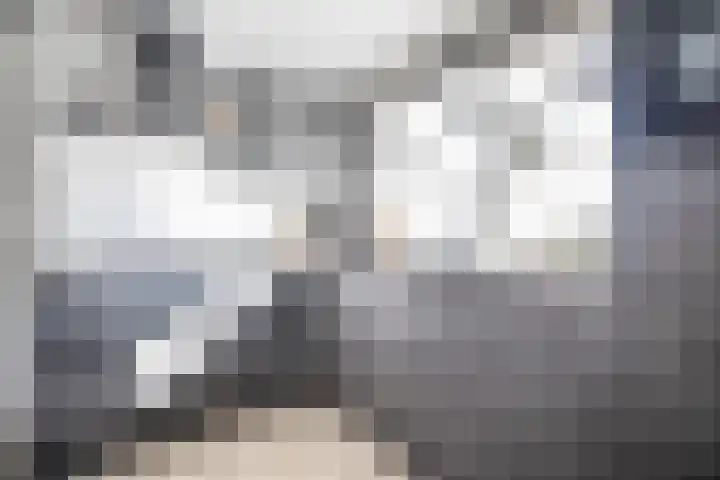 De Reiger 3 Almelo thumbnail 10