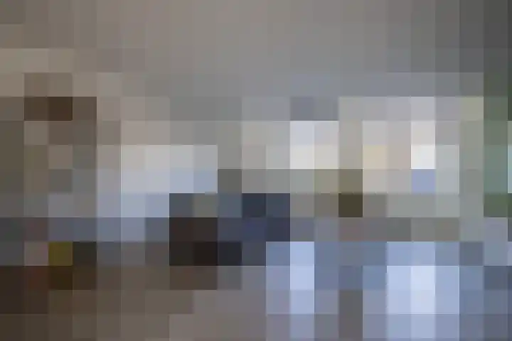 De Reiger 3 Almelo thumbnail 13