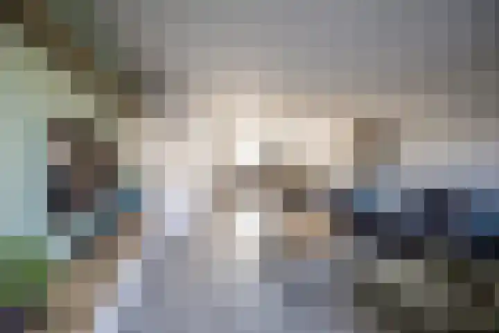 De Reiger 3 Almelo thumbnail 14