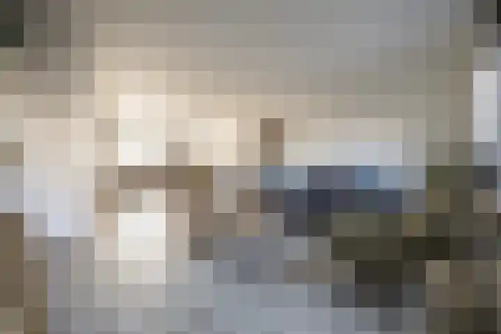 De Reiger 3 Almelo thumbnail 15