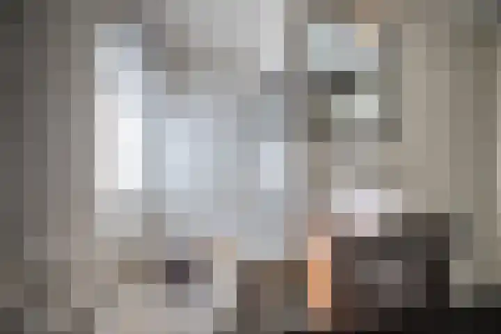 De Reiger 3 Almelo thumbnail 22