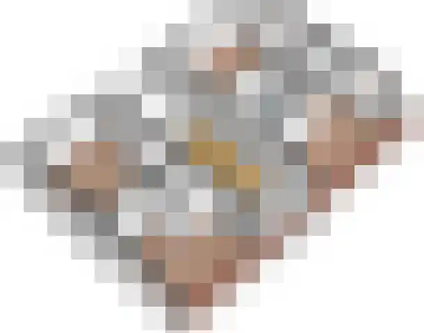 De Reiger 3 Almelo thumbnail 23