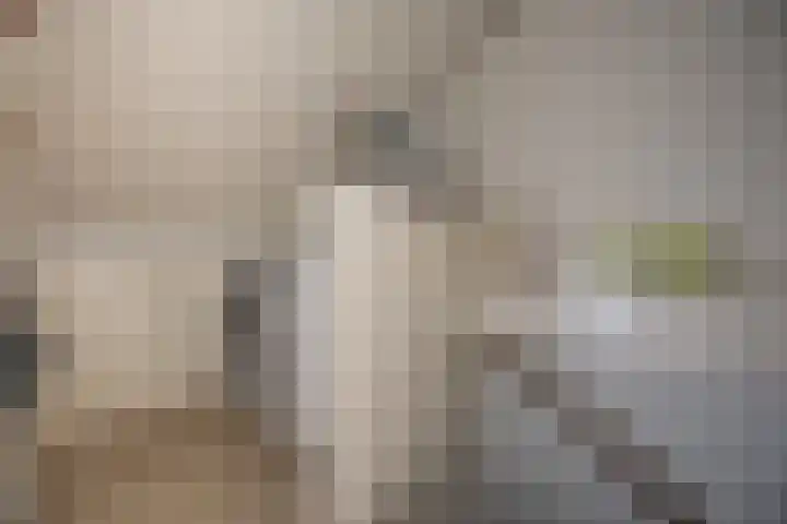 De Reiger 3 Almelo thumbnail 24