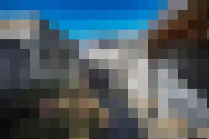 De Reiger 3 Almelo thumbnail 27