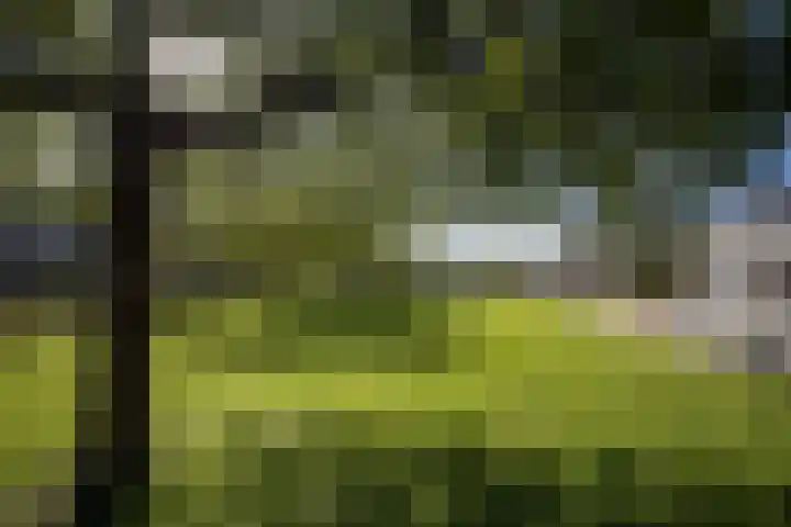 De Reiger 3 Almelo thumbnail 32