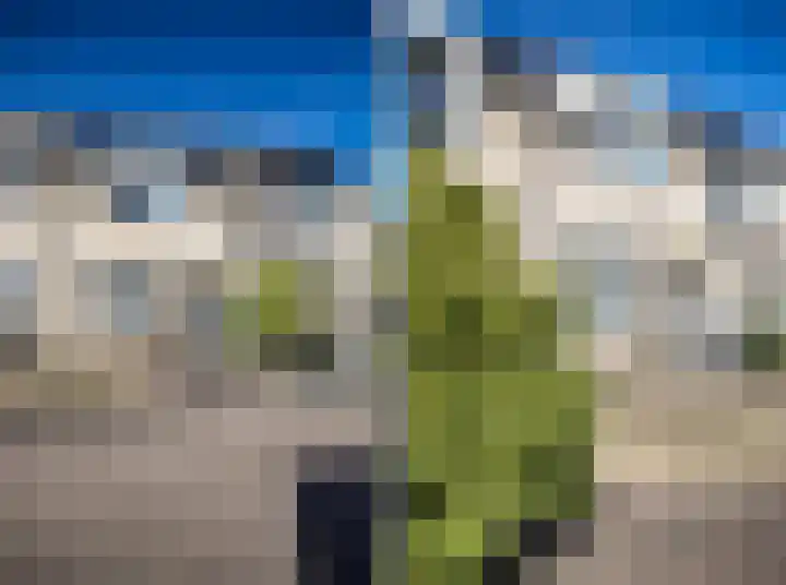 De Reiger 3 Almelo thumbnail 6