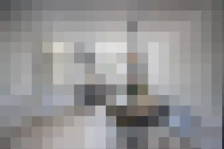 De Reiger 3 Almelo thumbnail 8