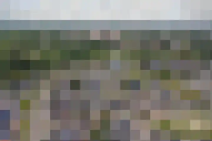 De Reiger 41 Almelo thumbnail 16