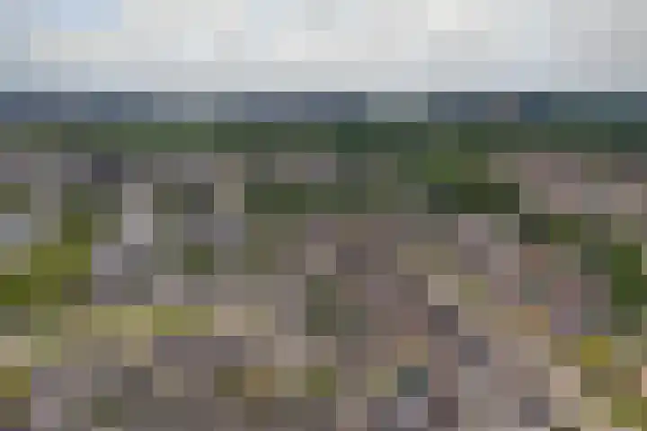 De Reiger 41 Almelo thumbnail 17