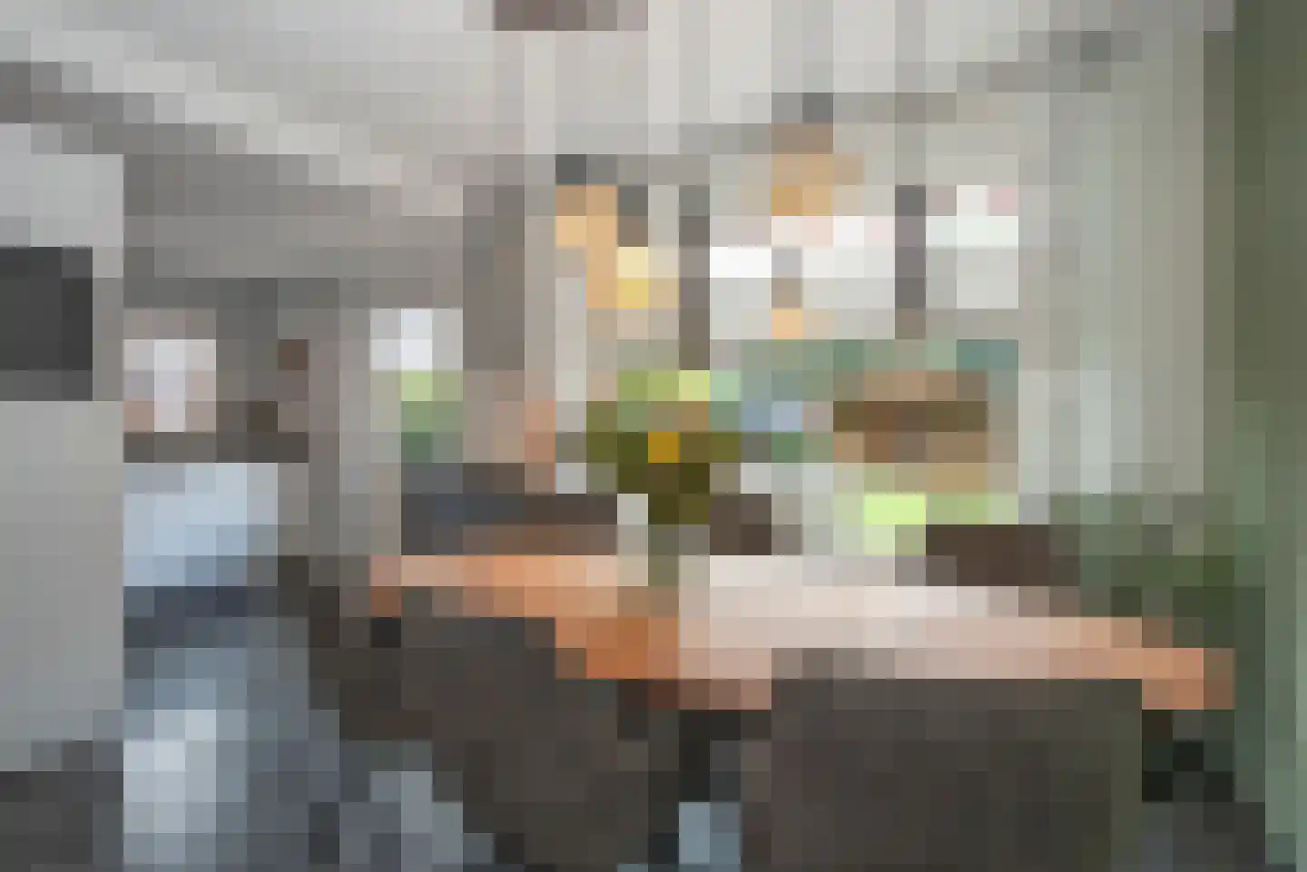 De Reigerstraat 4 Delden thumbnail 13