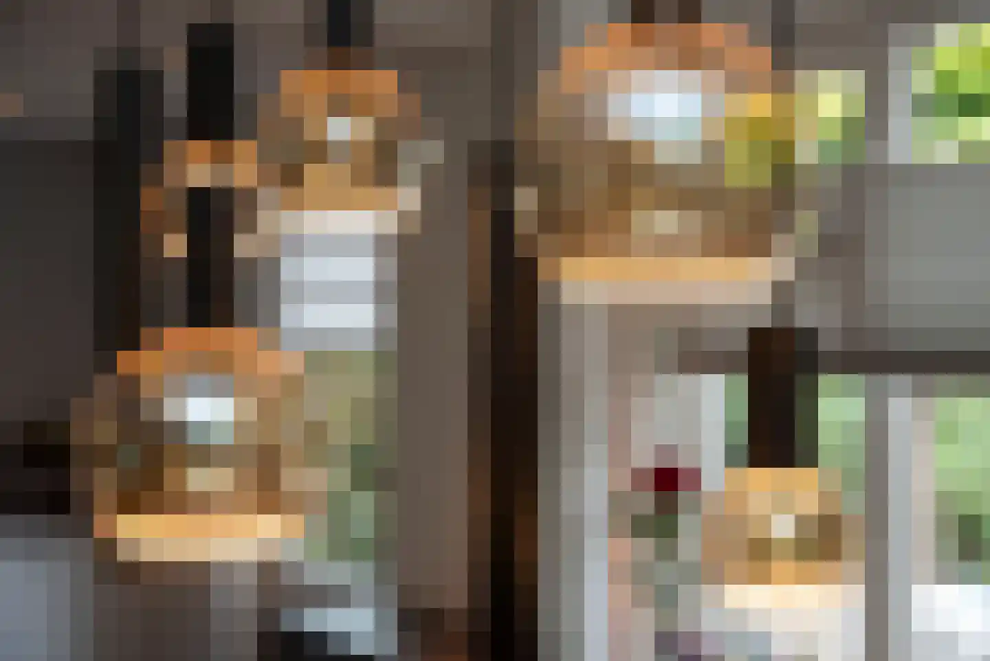 De Reigerstraat 4 Delden thumbnail 14