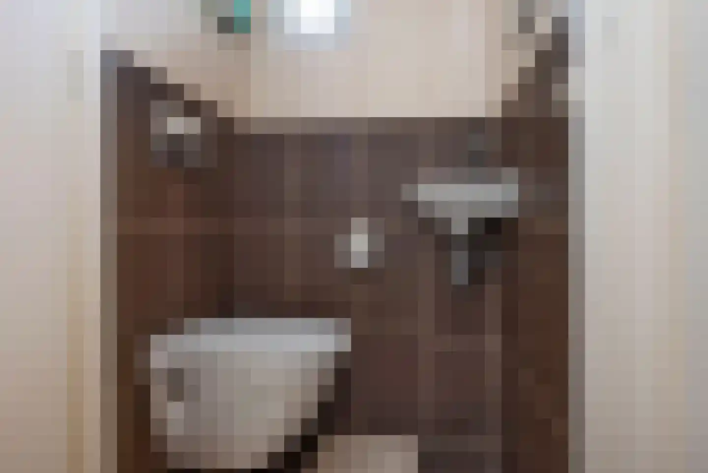 De Reigerstraat 4 Delden thumbnail 8