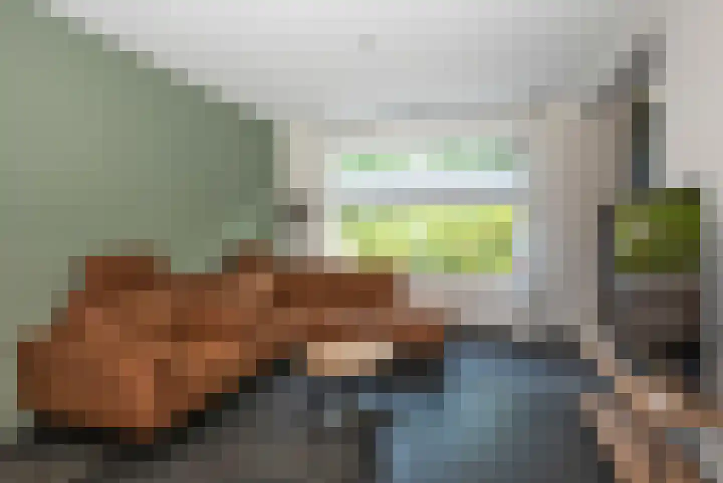 De Reigerstraat 4 Delden thumbnail 9