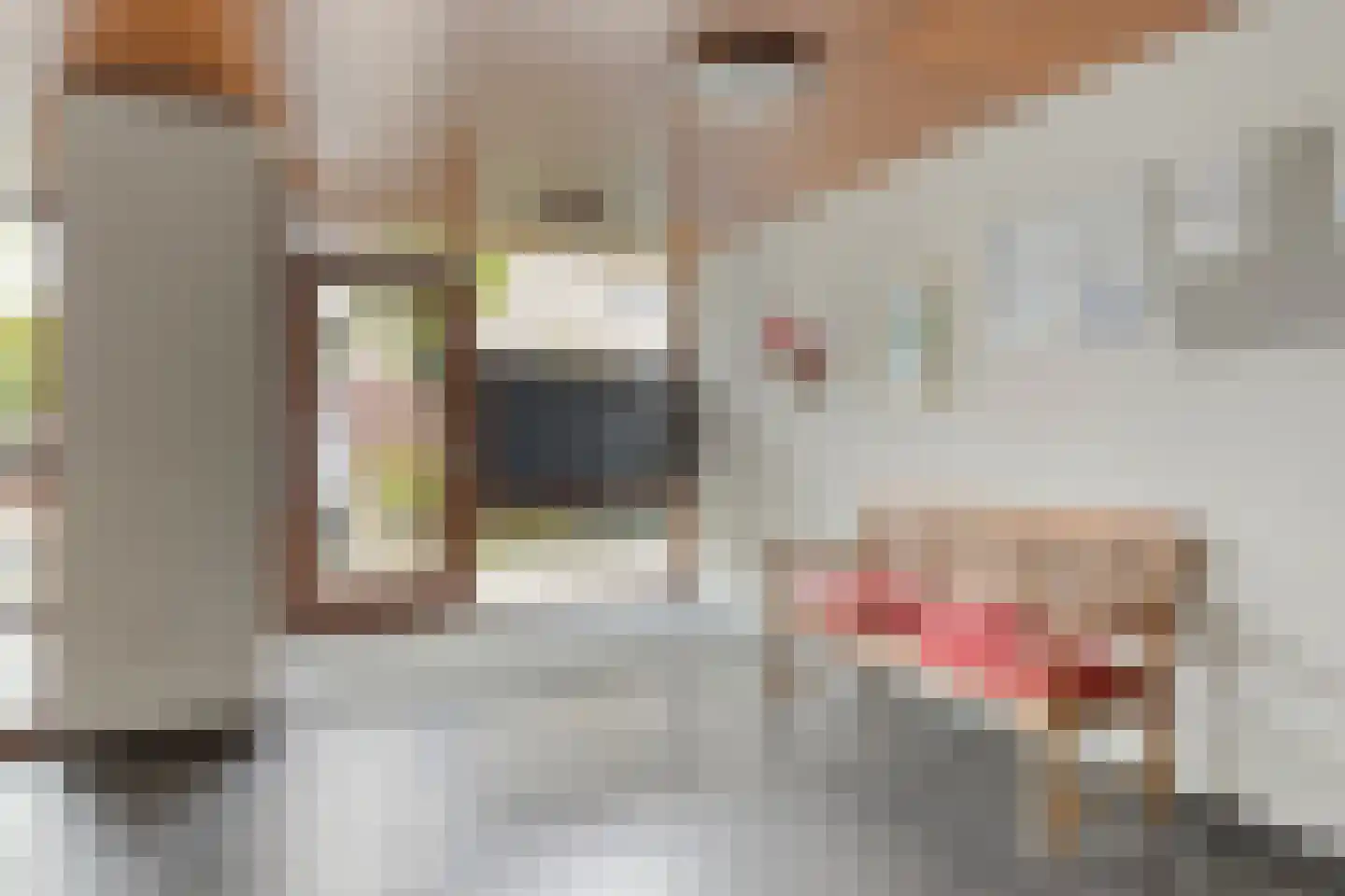 De Reijenburg 105 Veldhoven thumbnail 12