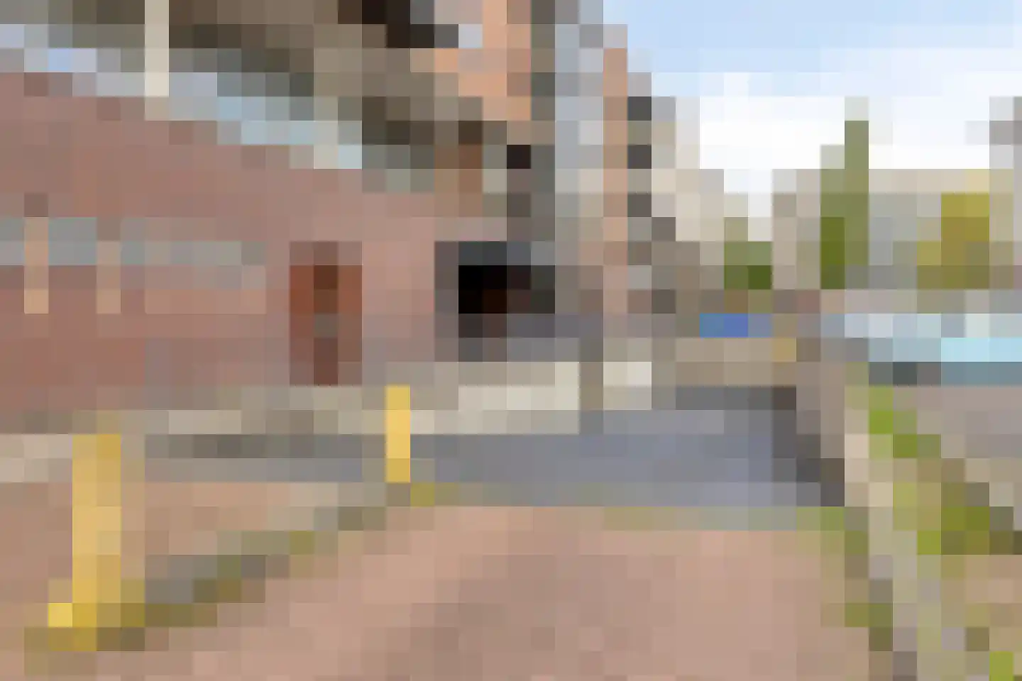 De Reijenburg 105 Veldhoven thumbnail 36