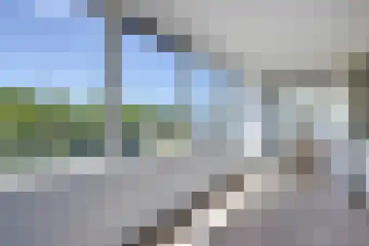 De Reijenburg 112 Veldhoven thumbnail 15