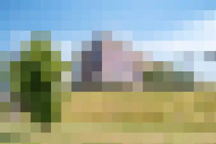 De Reijenburg 112 Veldhoven thumbnail 28