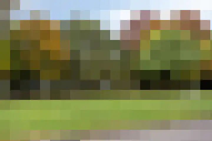 De Reijenburg 119 Veldhoven thumbnail 29