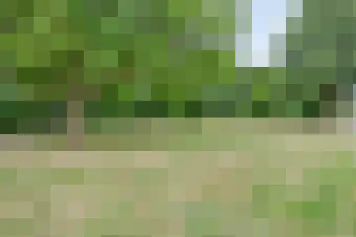De Reijenburg 119 Veldhoven thumbnail 31