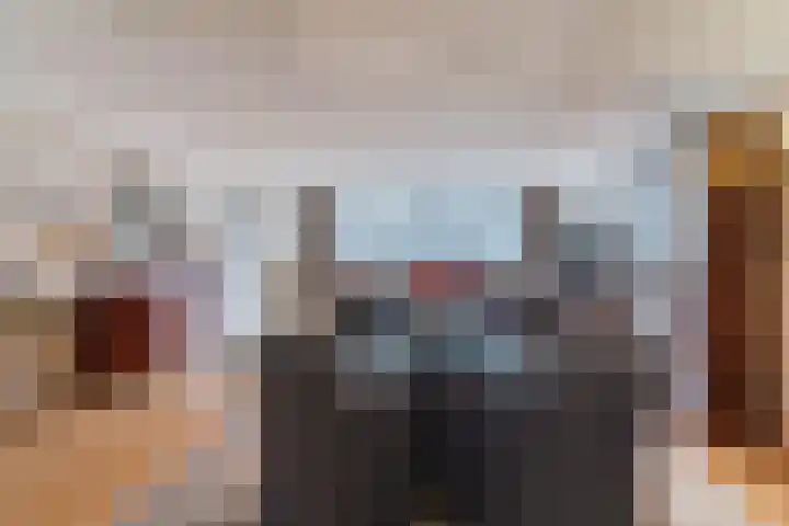 De Reijenburg 142 Veldhoven thumbnail 16