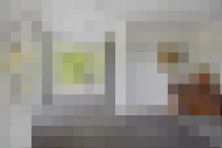 De Reijenburg 152 Veldhoven thumbnail 7