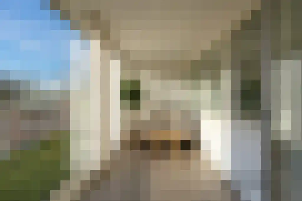 De Reijenburg 47 Veldhoven thumbnail 10