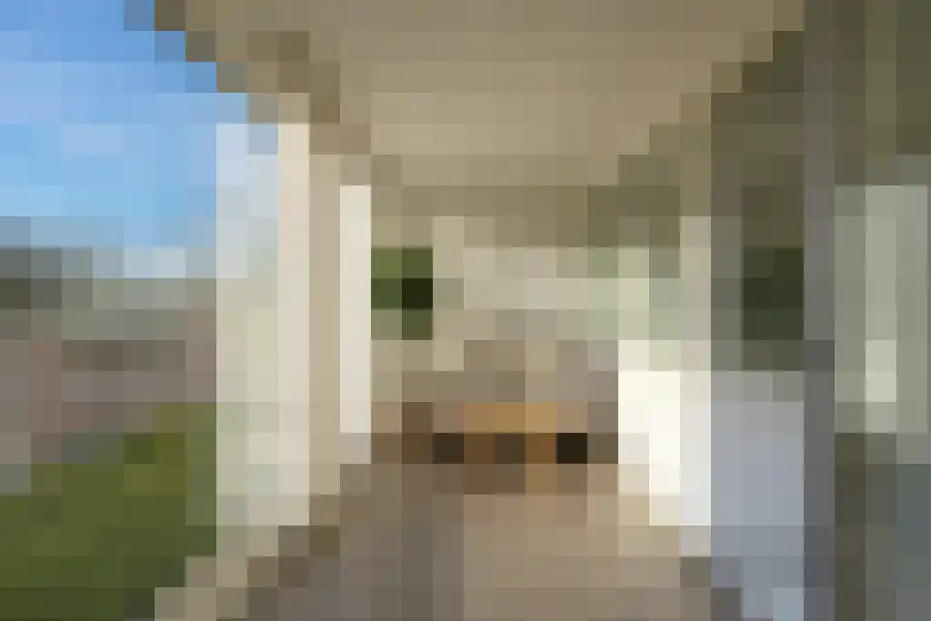 De Reijenburg 47 Veldhoven thumbnail 9