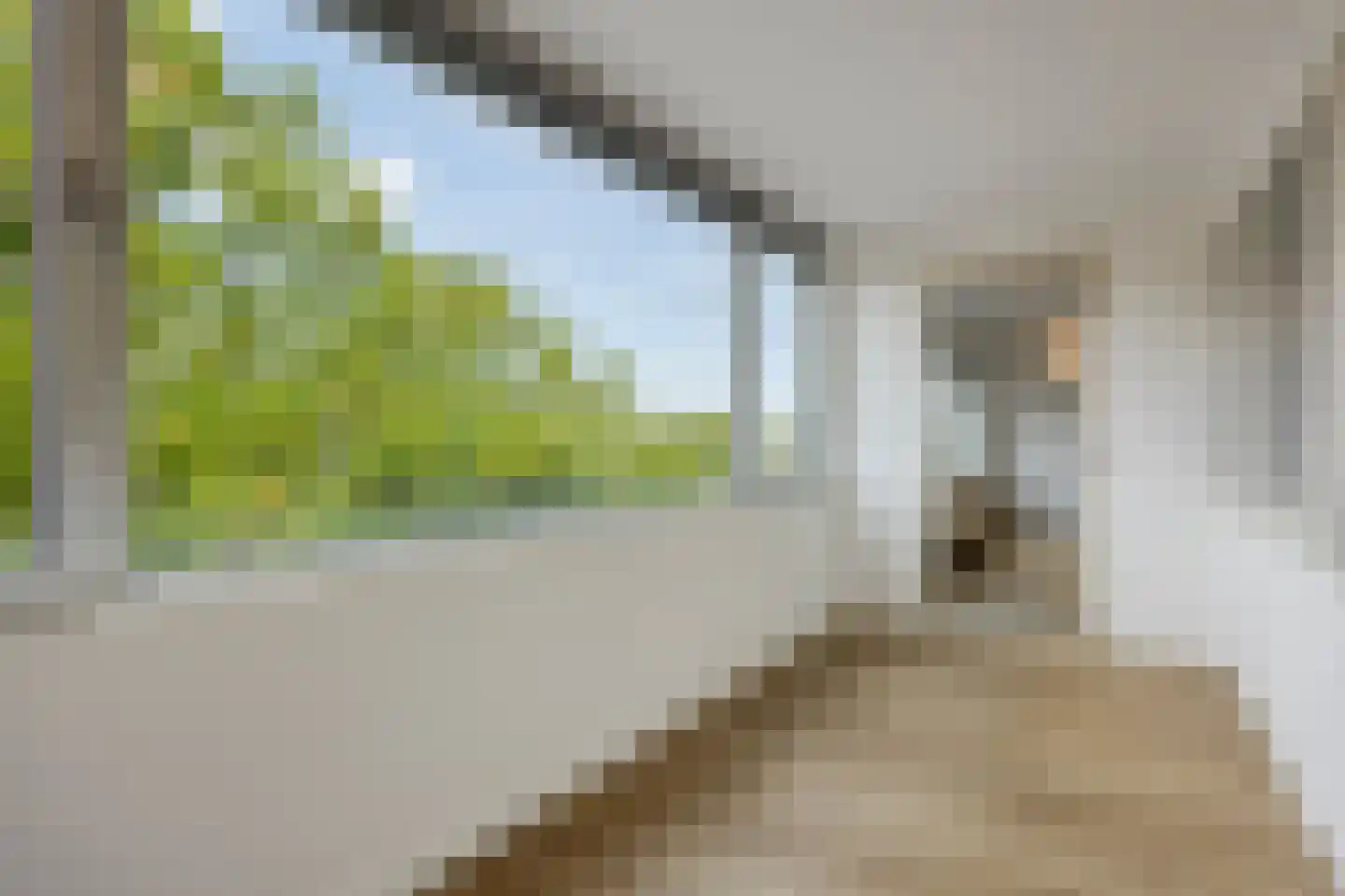 De Reijenburg 64 Veldhoven thumbnail 22