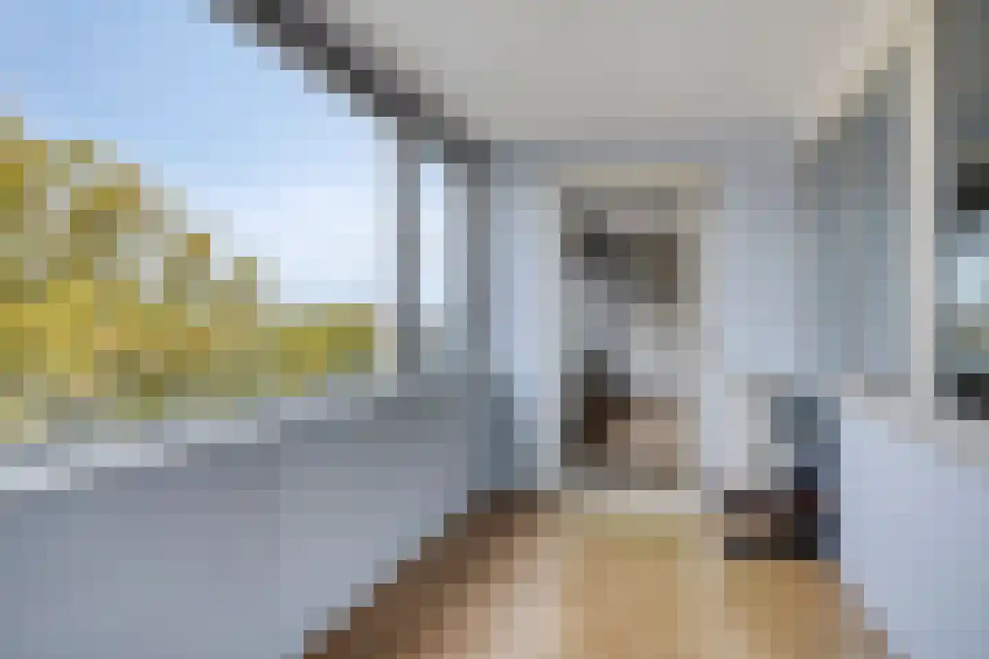 De Reijenburg 64 Veldhoven thumbnail 9