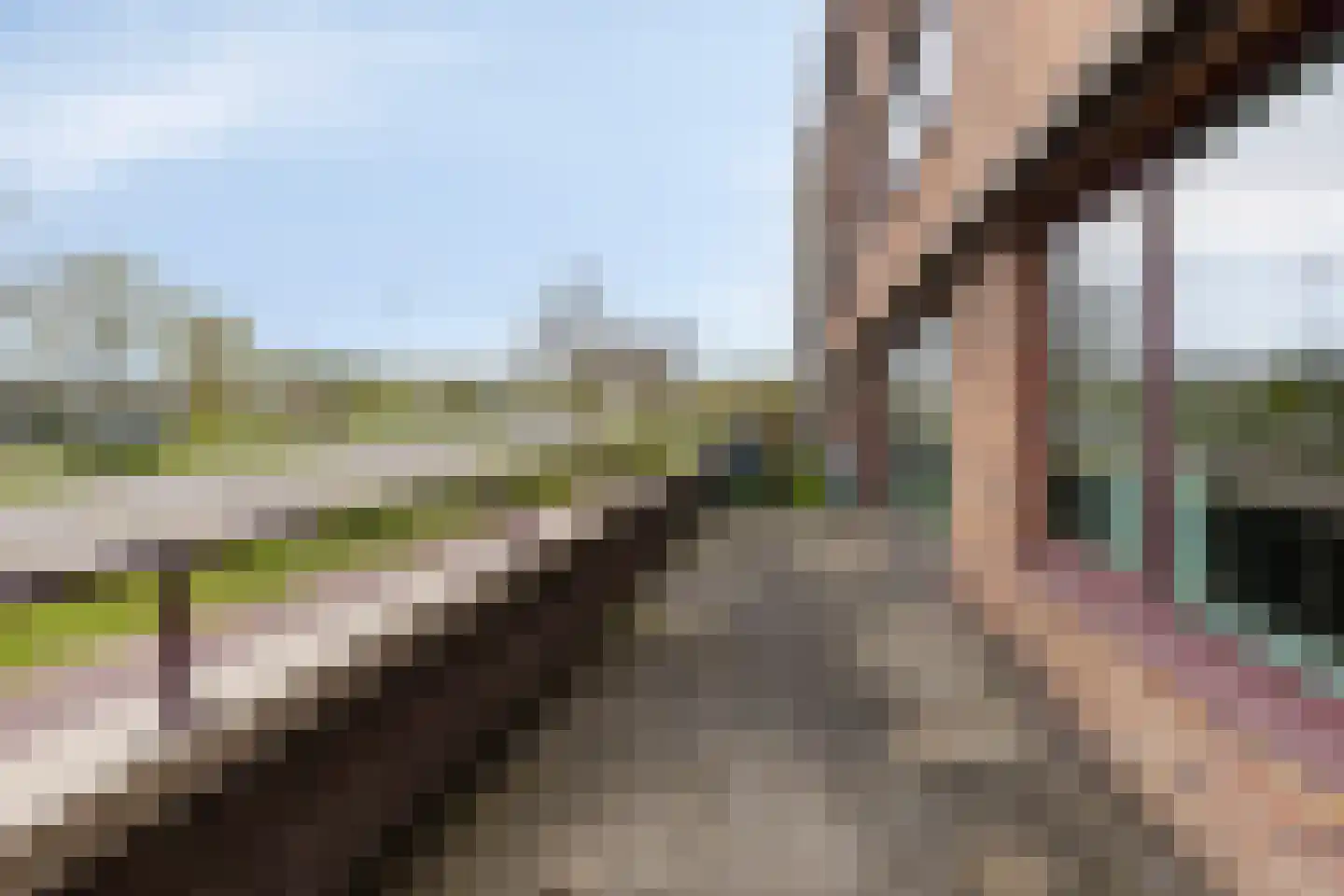 De Reijenburg 87 Veldhoven thumbnail 15