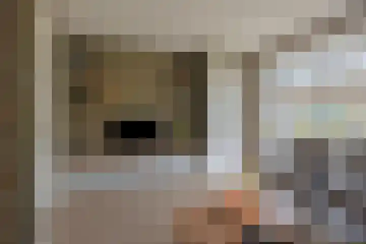 De Reimer 15 Zenderen thumbnail 11
